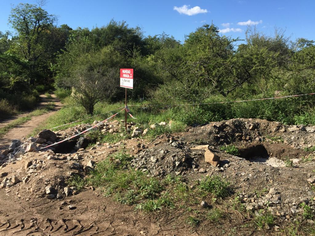 WhatsApp Image 2021-03-16 at 19.20.20