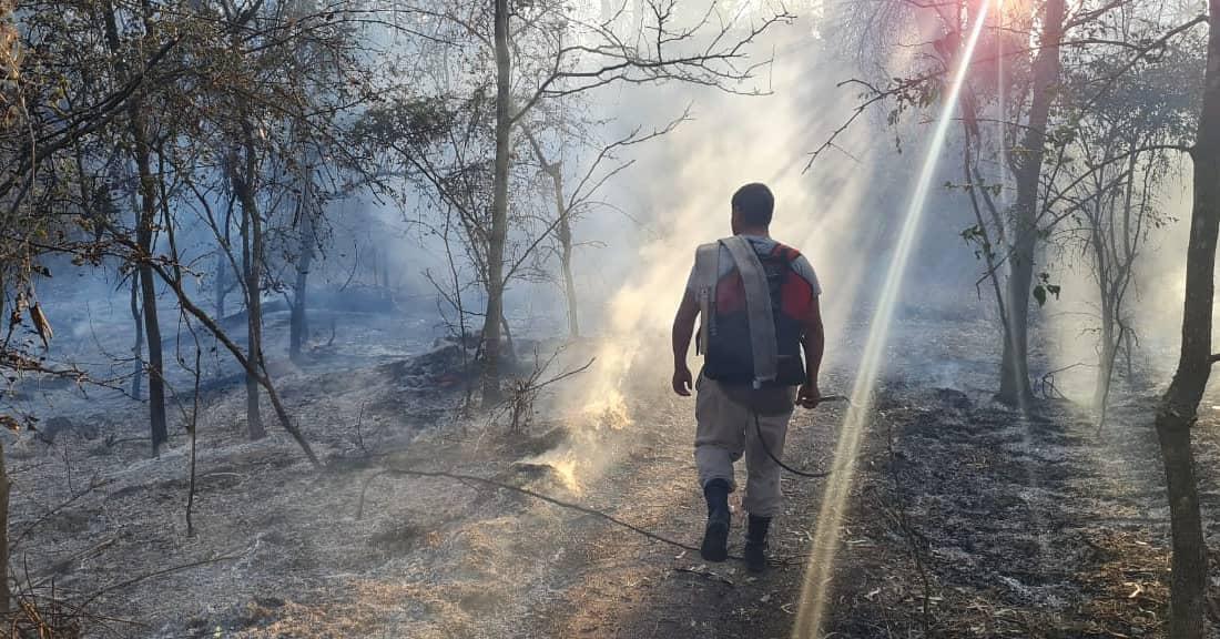 WhatsApp Image 2021-08-03 at 20.21.25