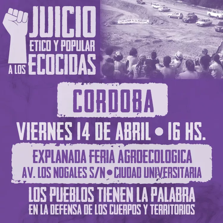 WhatsApp Image 2023-04-07 at 17.24.44