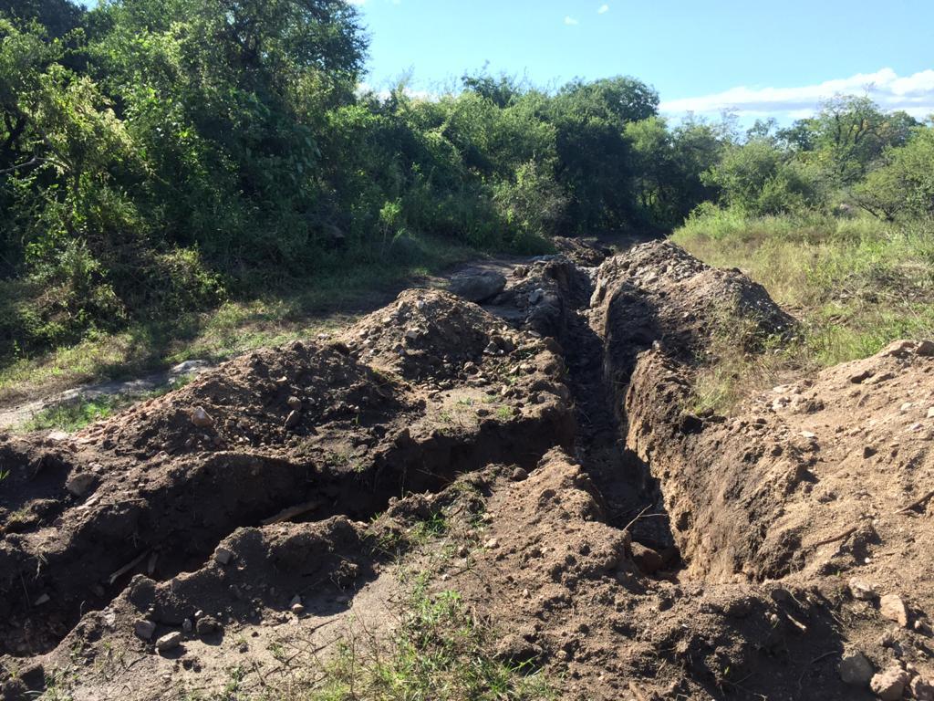 WhatsApp Image 2021-03-16 at 19.20.17