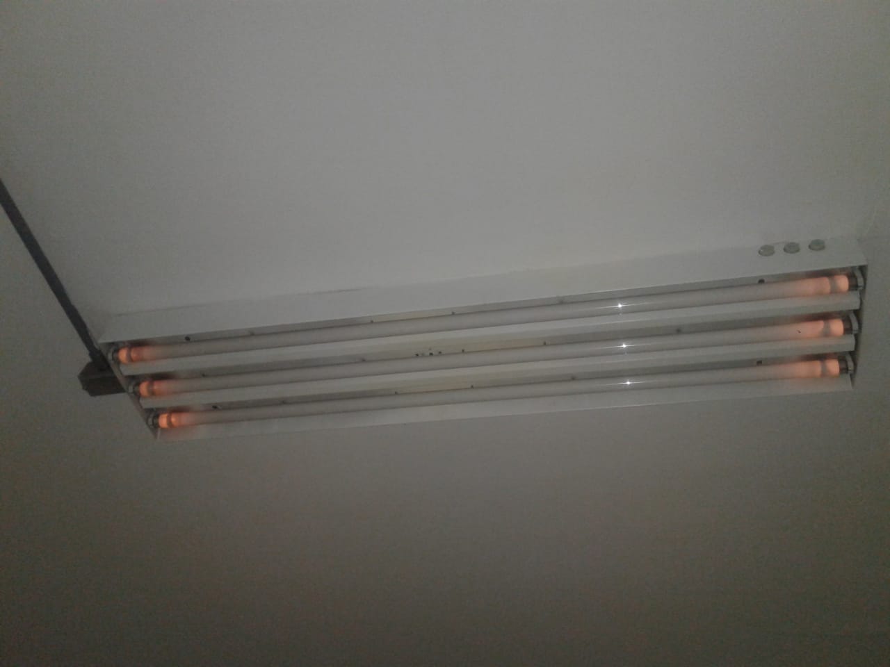 WhatsApp Image 2018-08-15 at 19.51.22