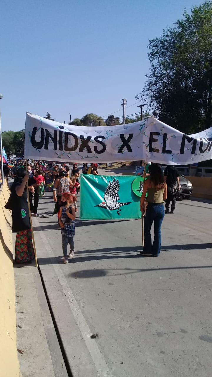 WhatsApp Image 2020-10-11 at 17.01.21