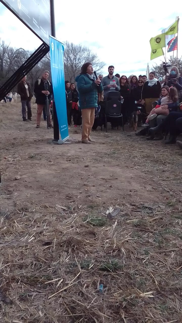 WhatsApp Image 2022-07-02 at 12.28.43 PM