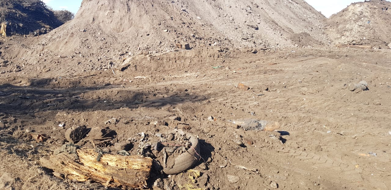 WhatsApp Image 2018-08-01 at 16.24.36(2)