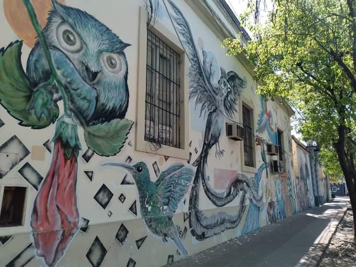 WhatsApp Image 2021-11-03 at 21.27.04