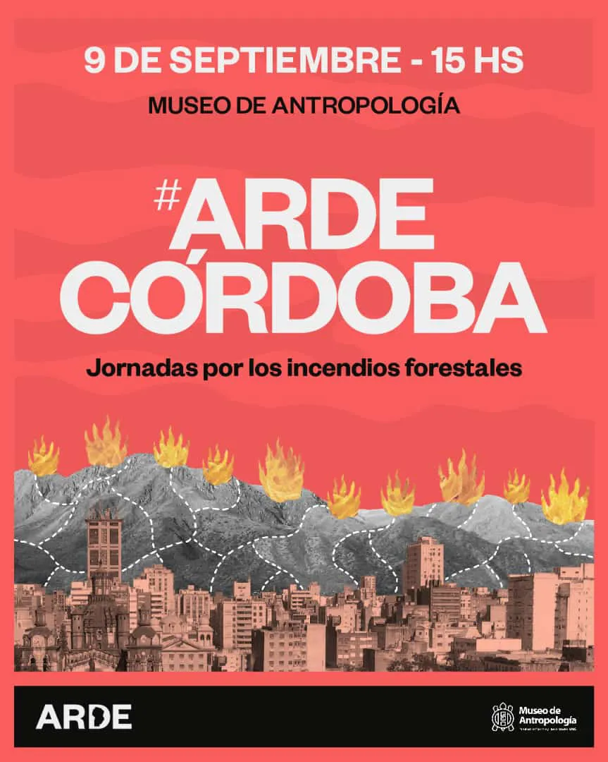 WhatsApp Image 2023-09-04 at 19.45.44