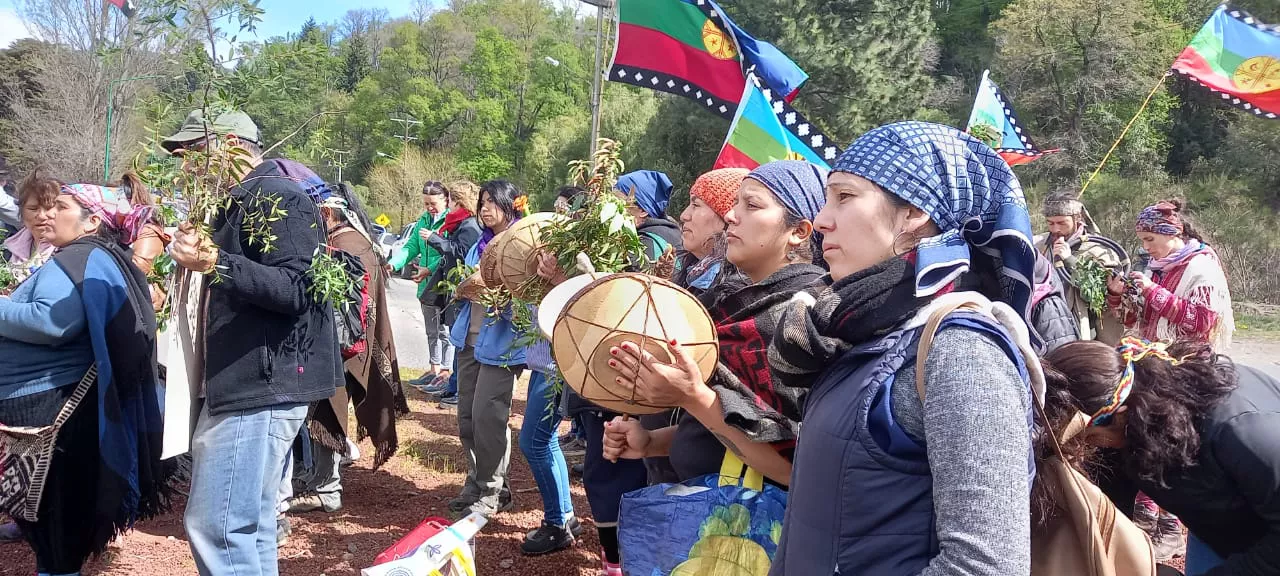 311214696_473078794884291_9059231243408156713_n