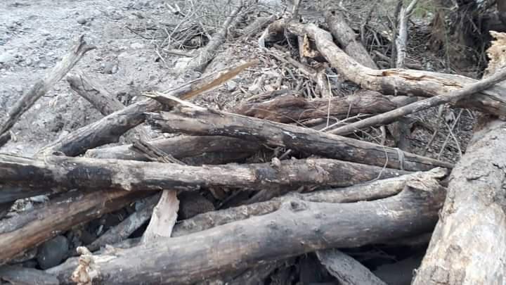 FB_IMG_1597856943065