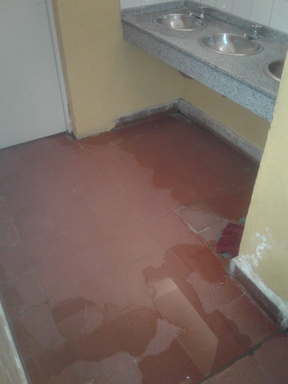 WhatsApp Image 2018-08-15 at 19.51.25