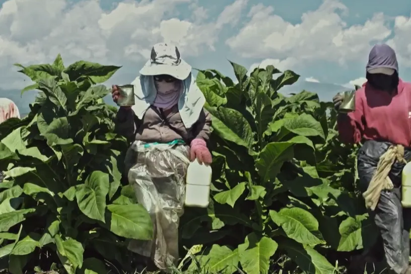 Captura de pantalla (725)