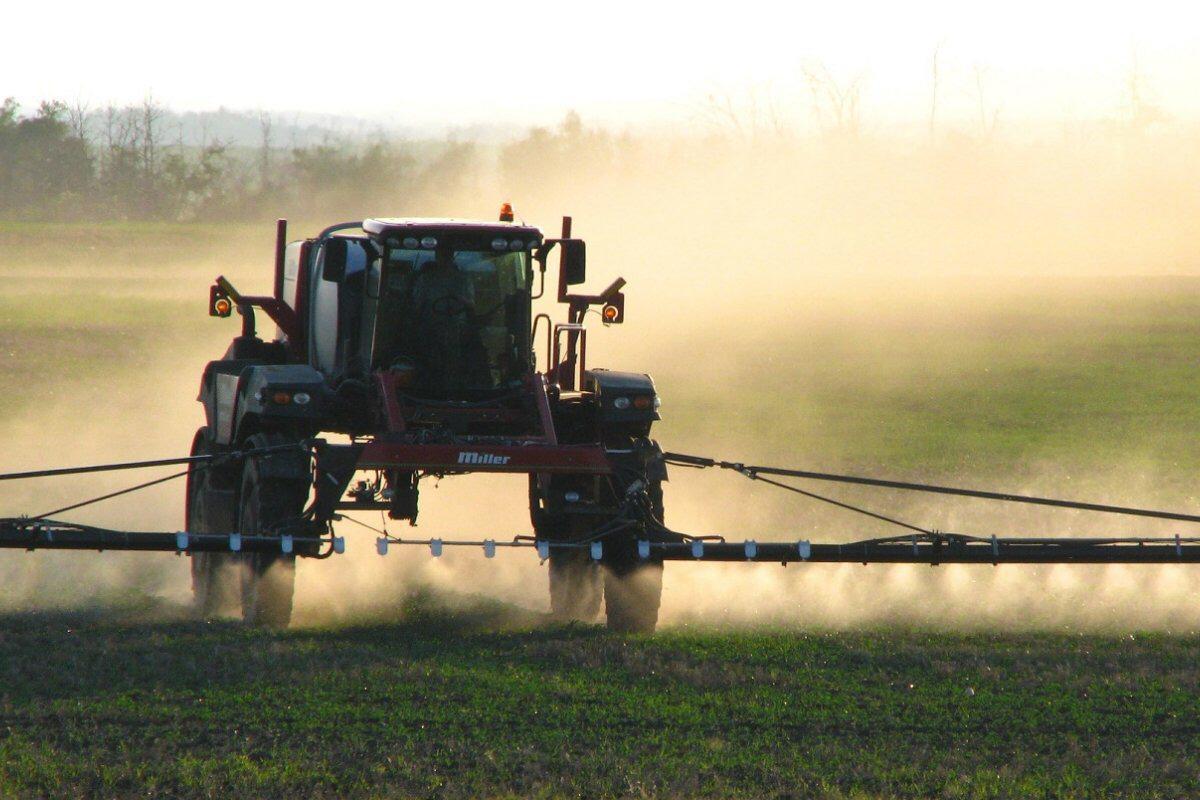 WhatsApp Image 2021-04-26 at 09.35.30