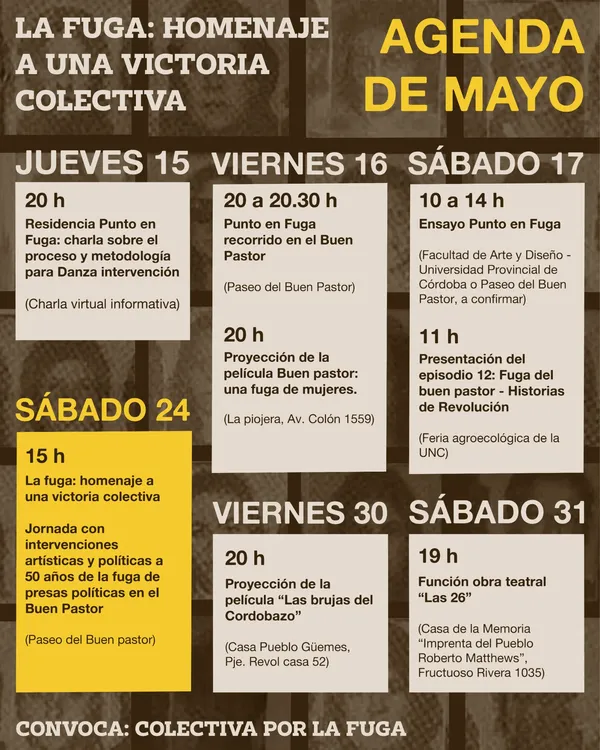 WhatsApp Image 2025-05-14 at 15.05.41