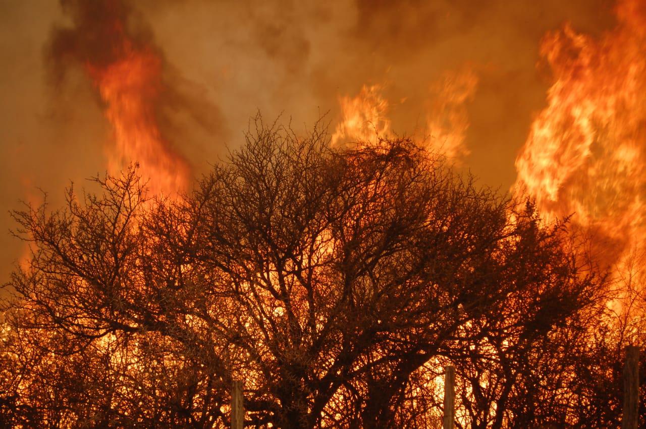 WhatsApp Image 2020-09-30 at 20.33.21