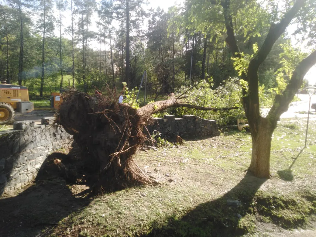 WhatsApp Image 2024-01-01 at 09.44.39 (1)