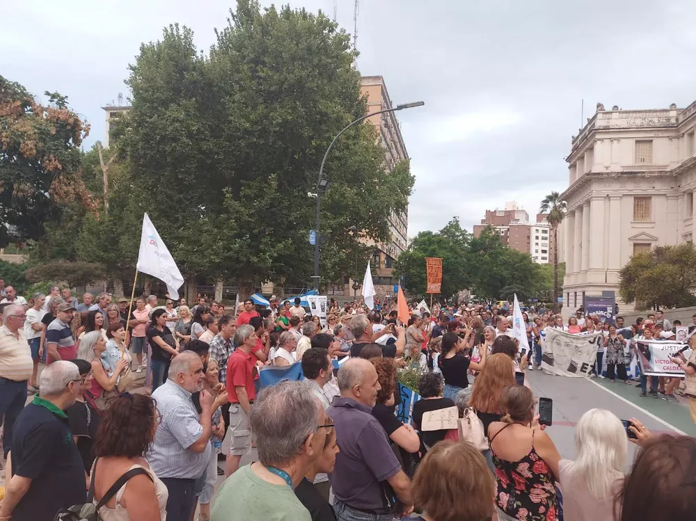 WhatsApp Image 2023-02-01 at 19.31.06