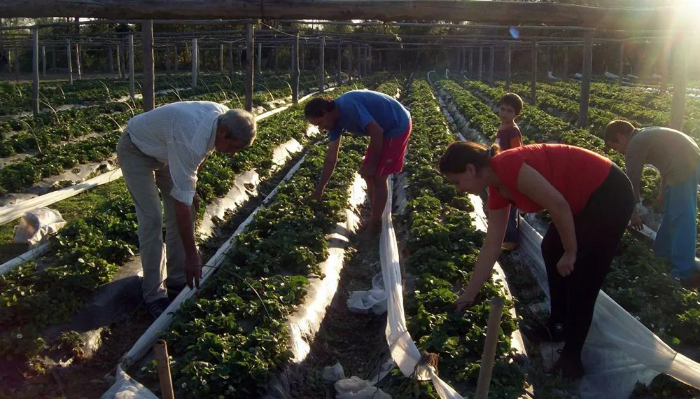 agricultura-familiar
