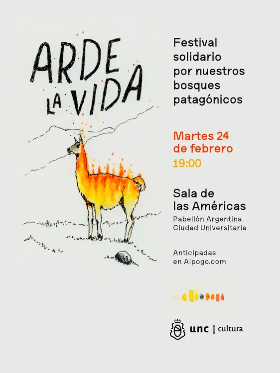 WhatsApp Image 2026-02-20 at 16.06.31