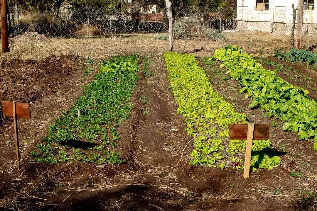 espaciorukacba_300853204_205715251791584_3642041784036606691_n