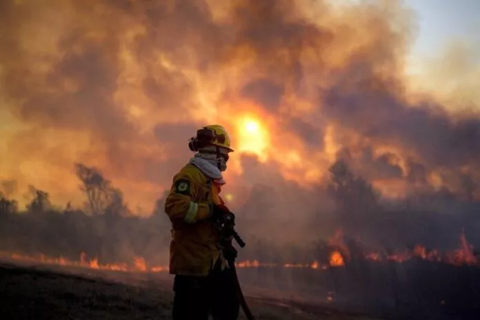 Incendios-en-el-Delta-1-696x464