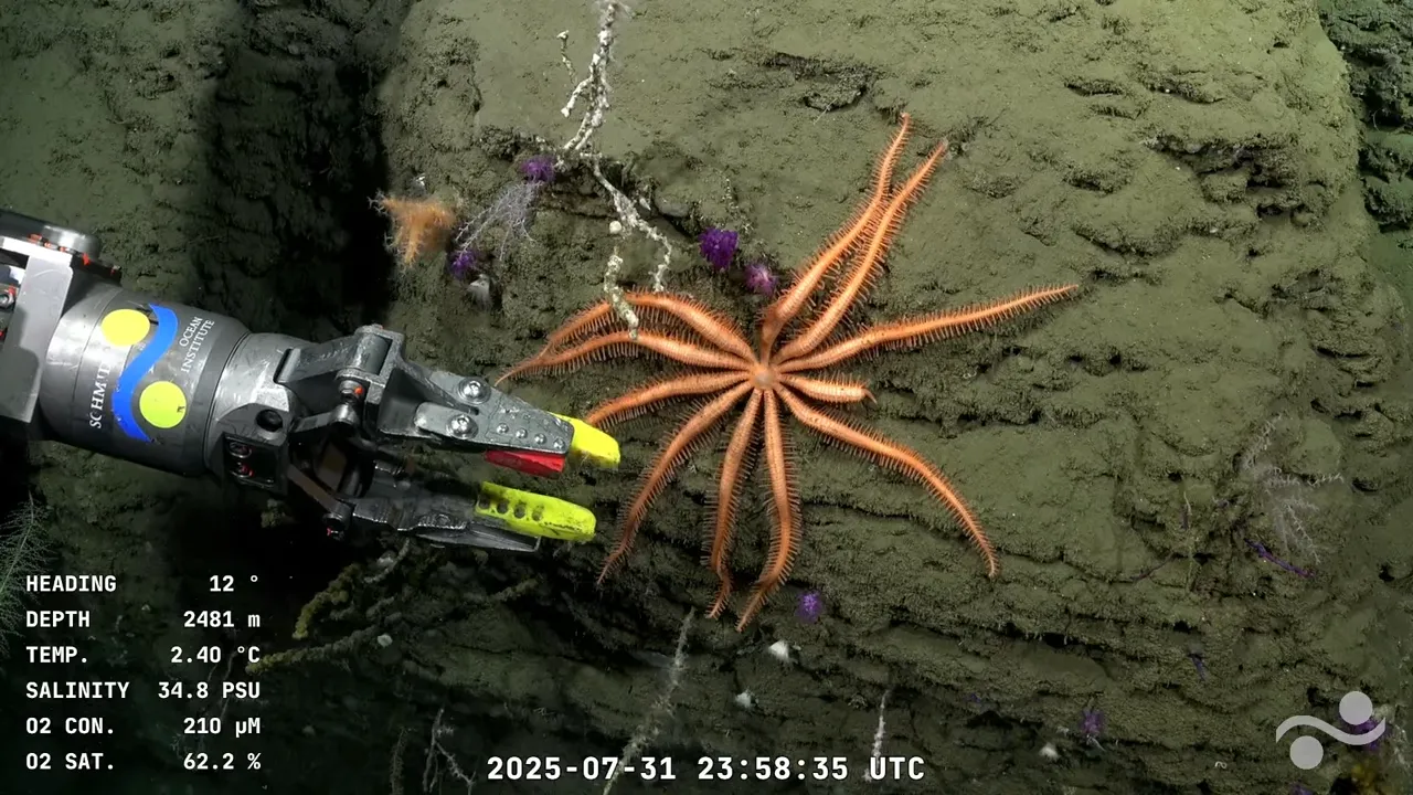 Lance 39.1 Mar Del Plata Canyon _ SOI Divestream 818 PART 2 (7)