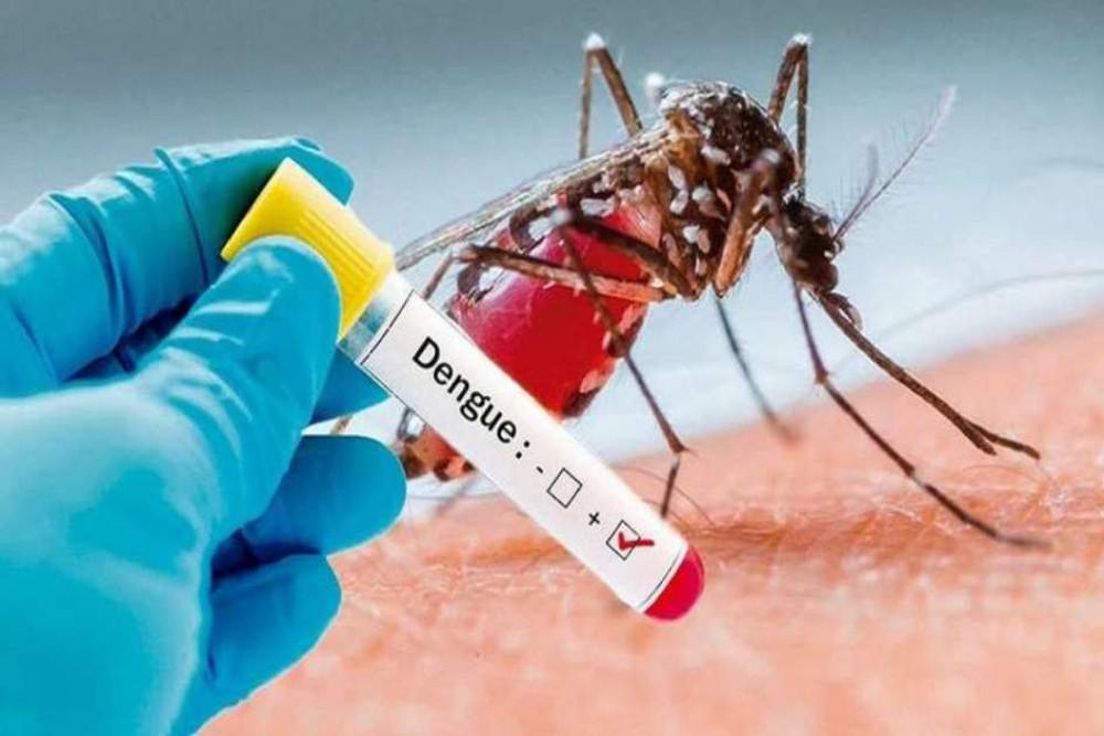 dengue 8 de abril