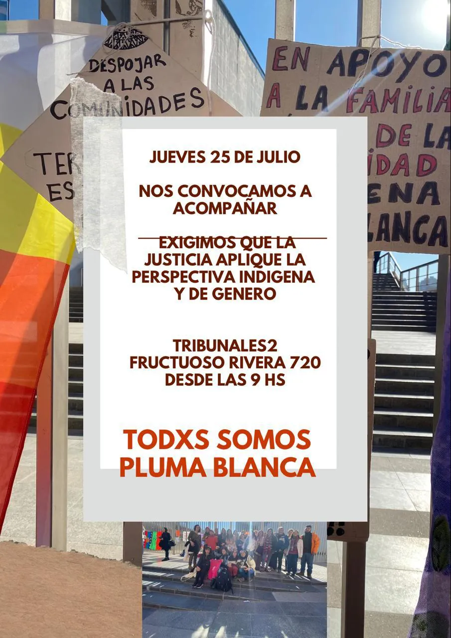 WhatsApp Image 2024-07-14 at 13.03.51