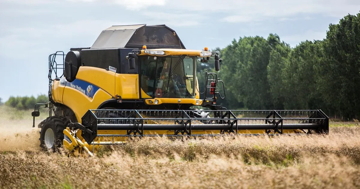 a47d0aca_1aac_46b1_9ac3_a9c6ddd79209_e3bb3610df