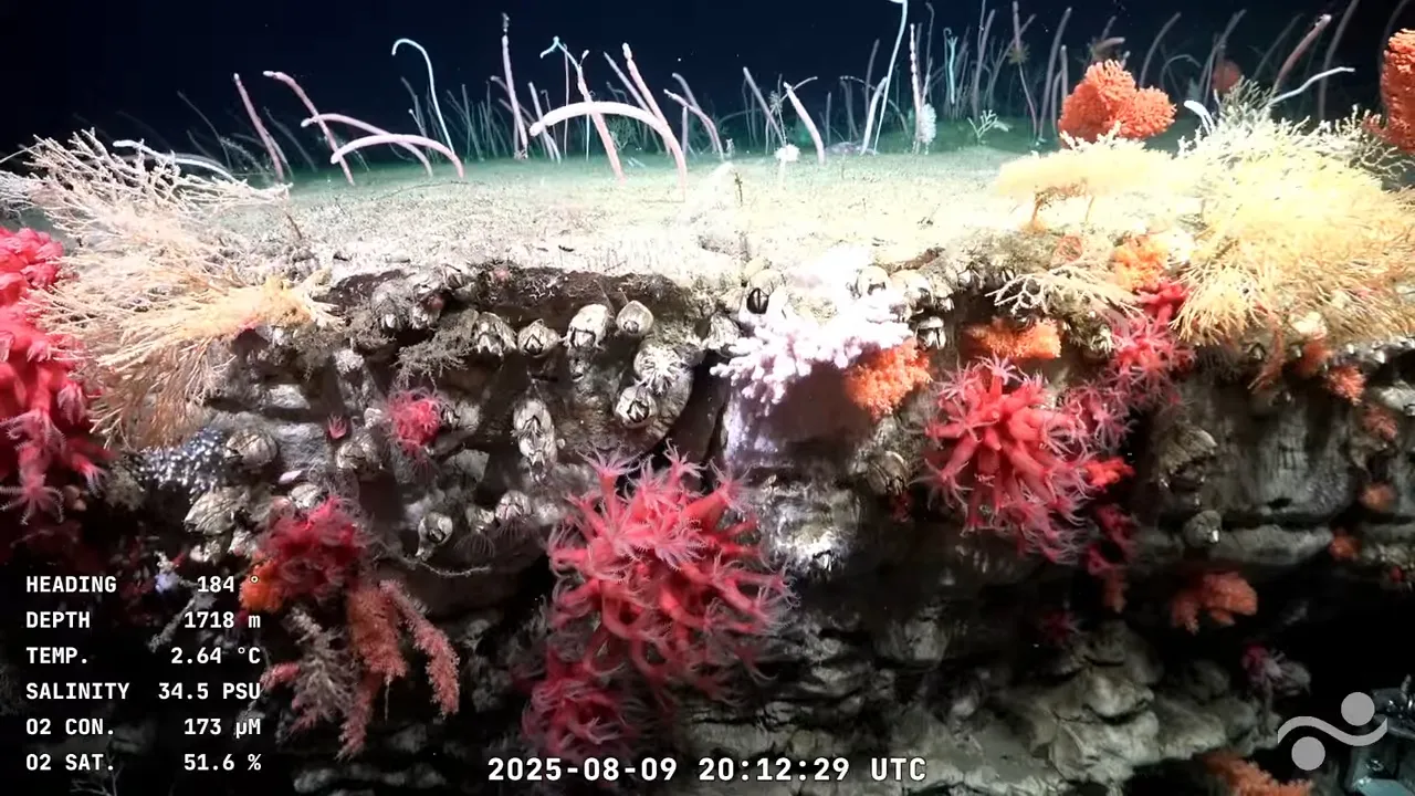 Lance 62.1 Mar Del Plata Canyon _ SOI Divestream 825 PART 2 (8)