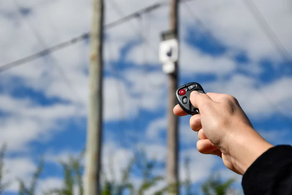 Imagen de WhatsApp 2024-04-04 a las 18.15.09_0df50a27