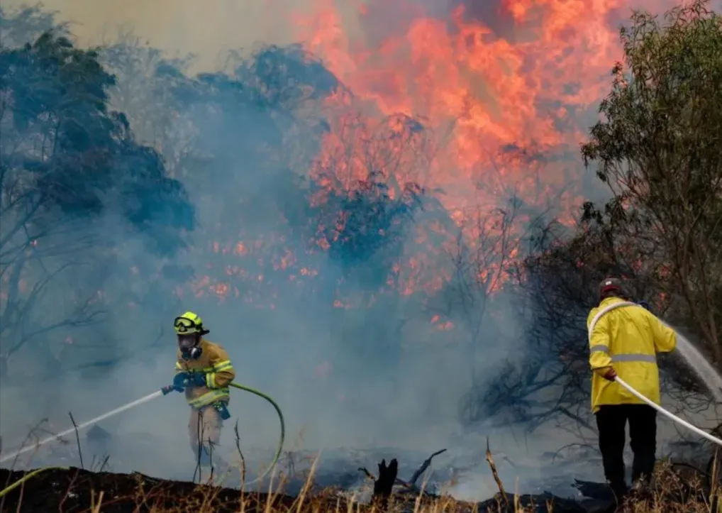 incendios-forestales-provocan-evacuaciones-masivas-en-israelwebp-png-1013×675--01-09-2026_08_38_AM